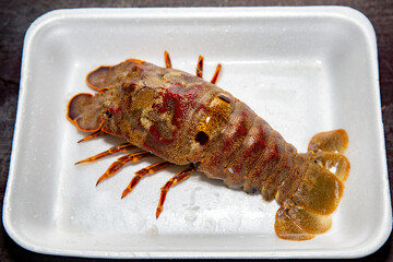 Rare crab lobster (Cancer pagurus) known as caranguejola, cavaquinha or sapateira, is a decapod crustacean, brachyurus, of the cancride family, from the rocky Atlantic coast of Europe.