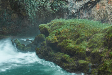 Waterfall surrounded by lush greenery