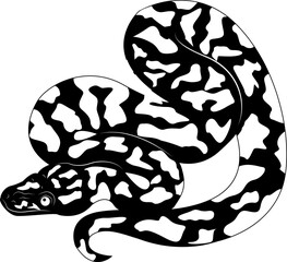 Viper snake. Tattoo. Poisonous reptile. Snake skin. Design element.