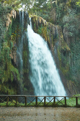 Waterfall surrounded by lush greenery