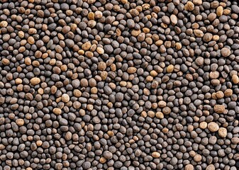 different types of spices and herbs on white background