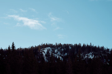 View towards Kalvberget Forest Reserve, Totenaasen Hills, Norway, in winter.
