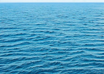 Fototapeta premium beautiful sea water surface with waves