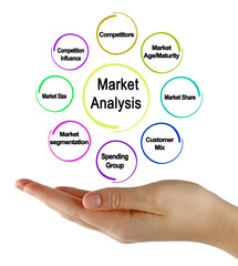 Eight Components of Market Analysis