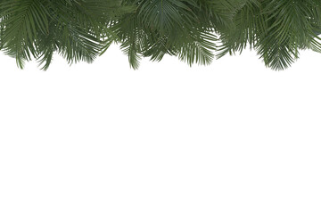 The palm leaf frame border is isolated on a transparent background. Green tropical leaves for design. Summertime. Rest for the holidays. 3d render