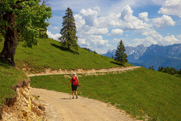 Fototapeta premium Wandern_1271