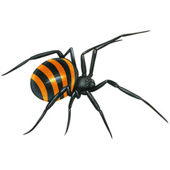 watercolor hand drawn realistic venomous spider