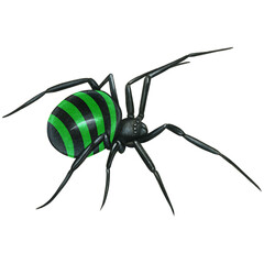 watercolor hand drawn realistic venomous spider