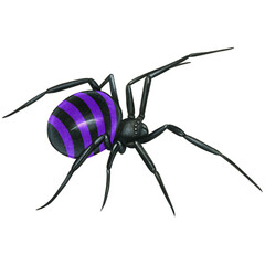 watercolor hand drawn realistic venomous spider