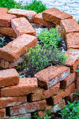 Brick circle for herbal garden