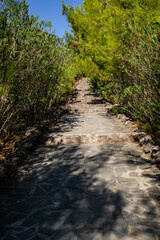 Fototapeta premium Stairs outside in nature, europa 