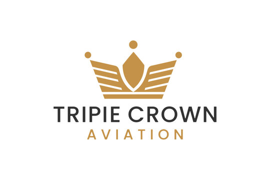 luxury brand logo with golden crown design vector template 