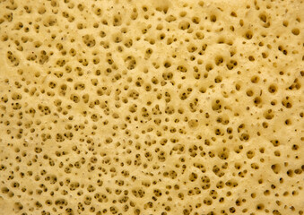 The internal texture of a traditional sheep curd