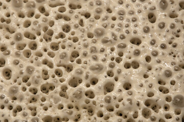 A close-up of the leavening dough