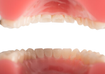 Inside of an opened mouth of a dentist patient