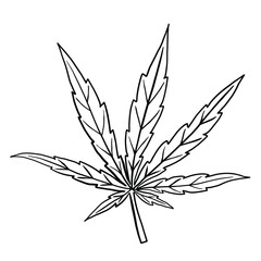 simplicity cannabis leaf freehand drawing flat design.