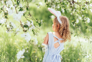 Obraz premium Easter egg hunt. Girl child Wearing Bunny Ears Running To Pick Up Egg In Garden. Easter tradition. Baby with basket full of colorful eggs.