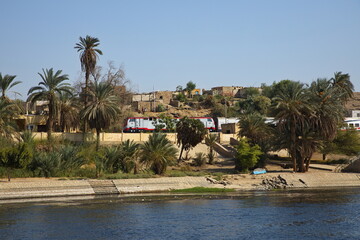 Village Nagaa Ash Sheikh Jarad at Nile in Egypt, Africa
