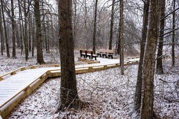 benches by the boardwalk trail in the swamp with snow in winter 