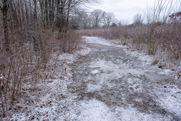 frozen trail in the swamp covered with snow in winter