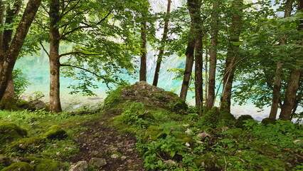 Fototapete bei efototapeten.de bestellen   