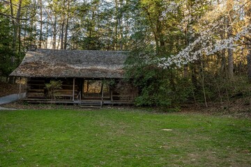 house, old, wood, cabin, rural, cottage, building, wooden, nature, grass, home, farm, architecture, village, country, landscape, sky, green, forest, barn, rustic, hut, tree, countryside, summer