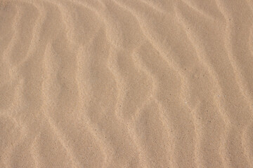 Fototapeta na wymiar Sand texture in Natural Park Corralejo, Fuerteventura