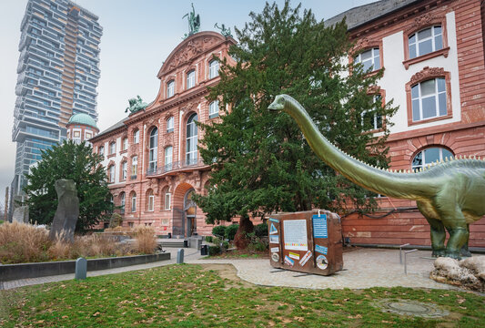 Natural History Museum (Naturmuseum Senckenberg) - Frankfurt, Germany