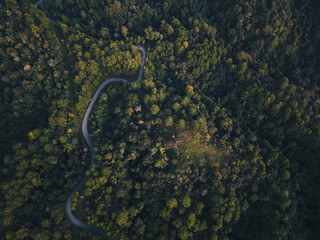 Obraz na płótnie Canvas Aerial view of countryside road passing through the green forrest and mountain