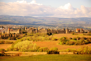 View of medieval town of Carcassonne through vines and fields at evening sunset. France. Travel...