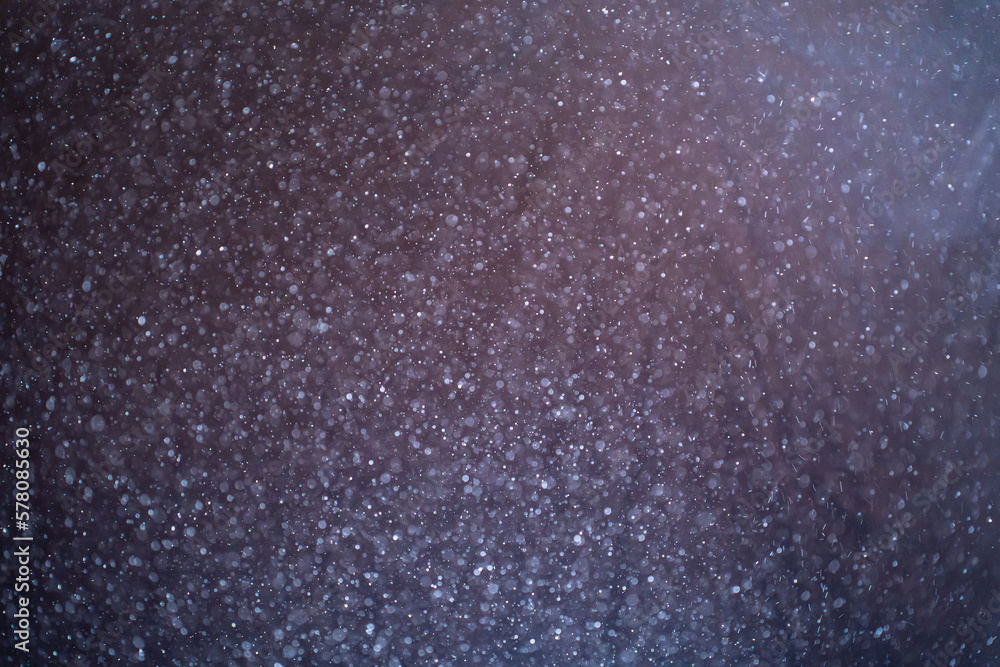 Canvas Prints dust particles floating on black background. glittering sparkling flickering glowing. high quality p