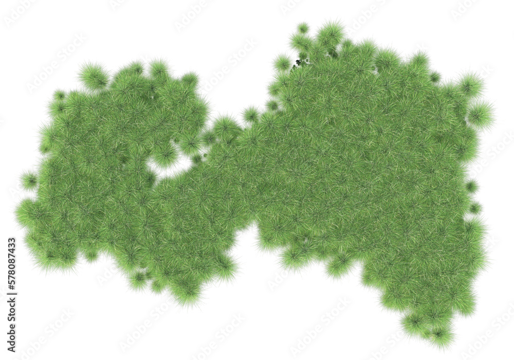 Poster realistic grass isolated on transparent background. 3d rendering - illustration