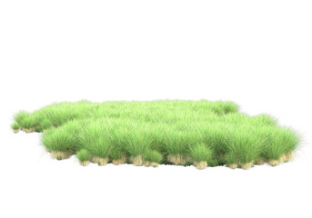 Realistic grass isolated on transparent background. 3d rendering - illustration