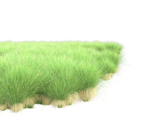 Realistic grass isolated on transparent background. 3d rendering - illustration