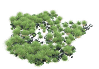 Realistic grass isolated on transparent background. 3d rendering - illustration