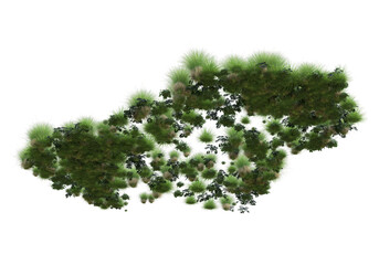 Realistic grass isolated on transparent background. 3d rendering - illustration
