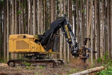 Logging Machine Forest Machine Timber Harvesting 