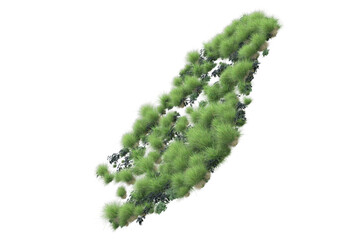 Realistic grass isolated on transparent background. 3d rendering - illustration
