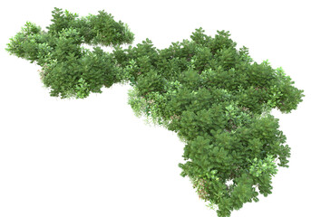 Obraz premium Field of plants isolated on transparent background. 3d rendering - illustration