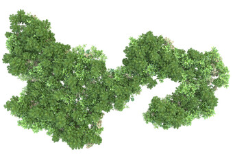 Field of plants isolated on transparent background. 3d rendering - illustration