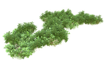 Field of plants isolated on transparent background. 3d rendering - illustration
