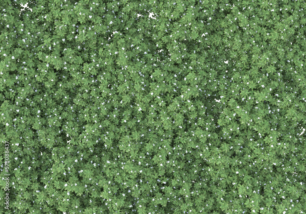 Aufkleber field of grass with flowers isolated on transparent background. 3d rendering - illustration