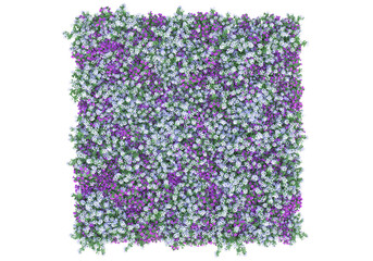 Obraz premium Field of grass with flowers isolated on transparent background. 3d rendering - illustration