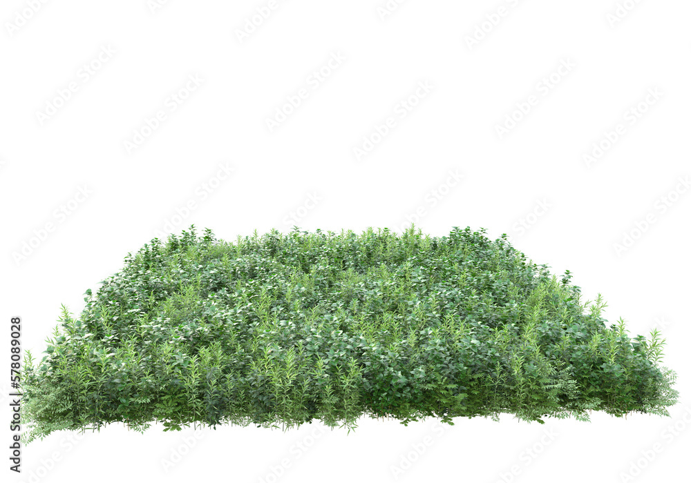 Poster field of foliage isolated on transparent background. 3d rendering - illustration