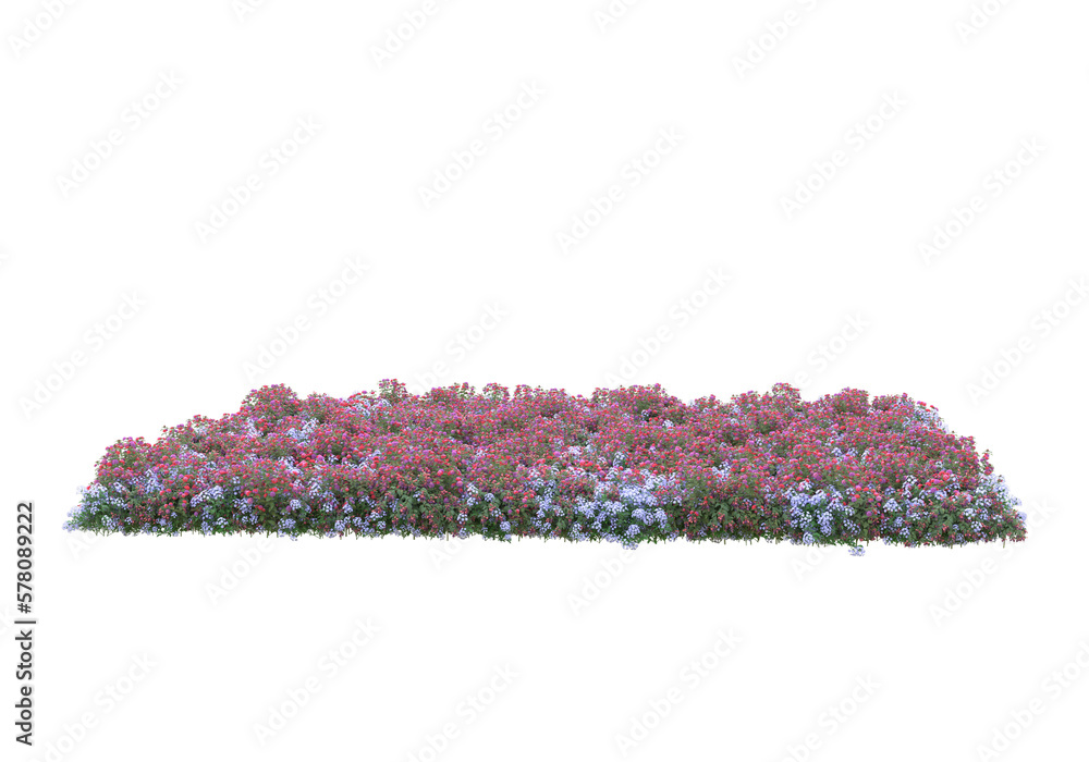 Poster field of foliage isolated on transparent background. 3d rendering - illustration