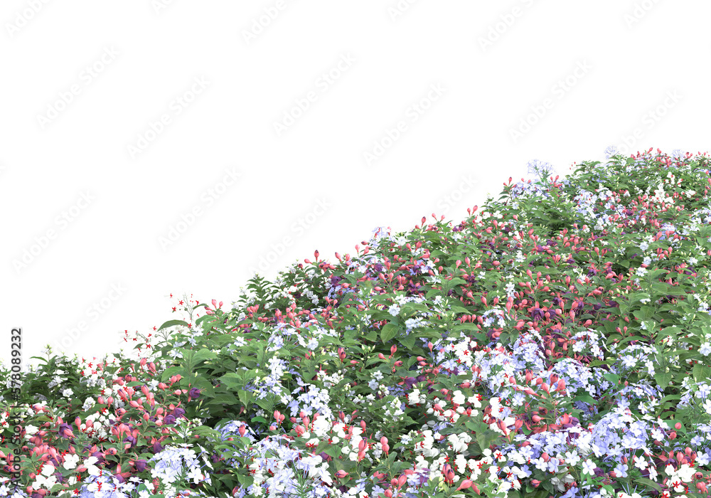 Poster field of foliage isolated on transparent background. 3d rendering - illustration