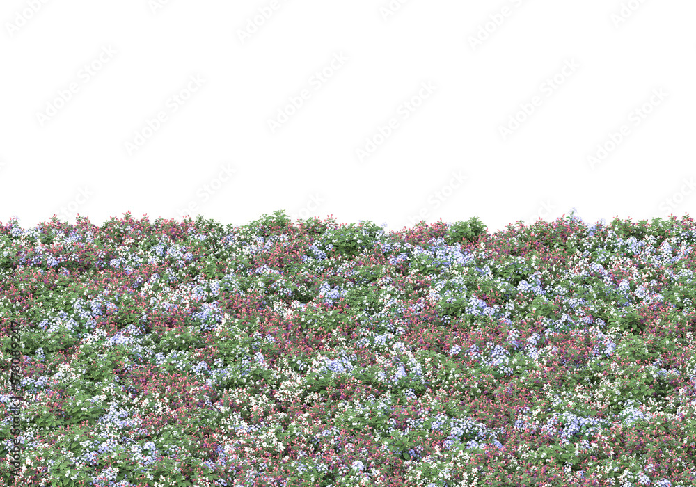Poster field of foliage isolated on transparent background. 3d rendering - illustration