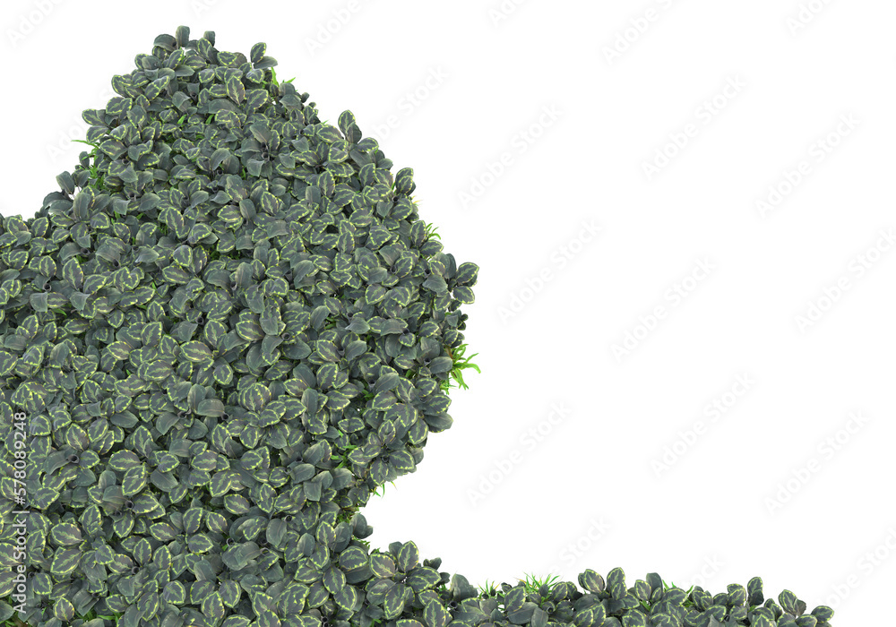 Poster field of foliage isolated on transparent background. 3d rendering - illustration
