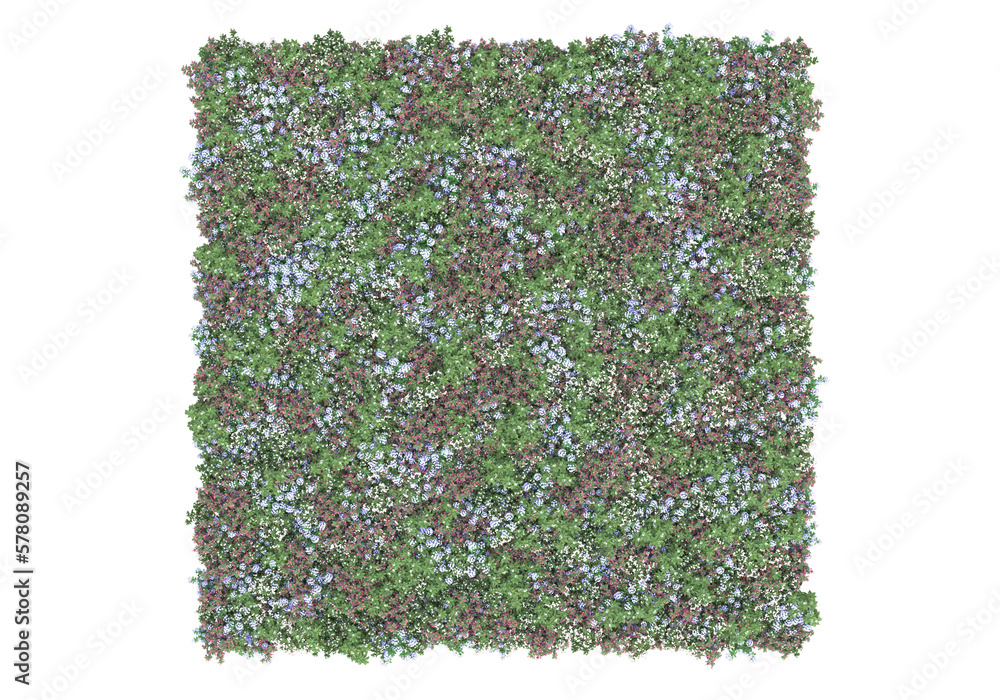 Poster field of foliage isolated on transparent background. 3d rendering - illustration