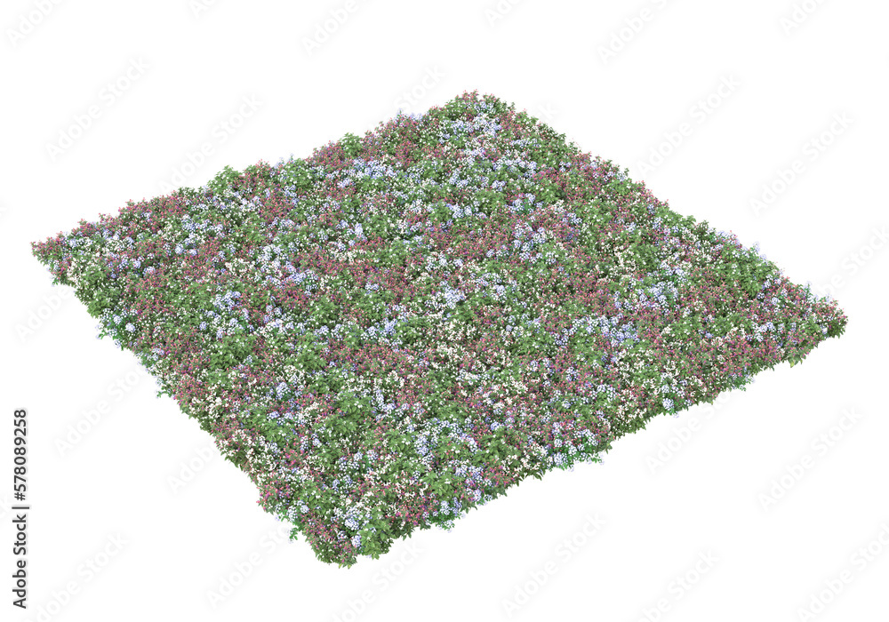 Poster field of foliage isolated on transparent background. 3d rendering - illustration